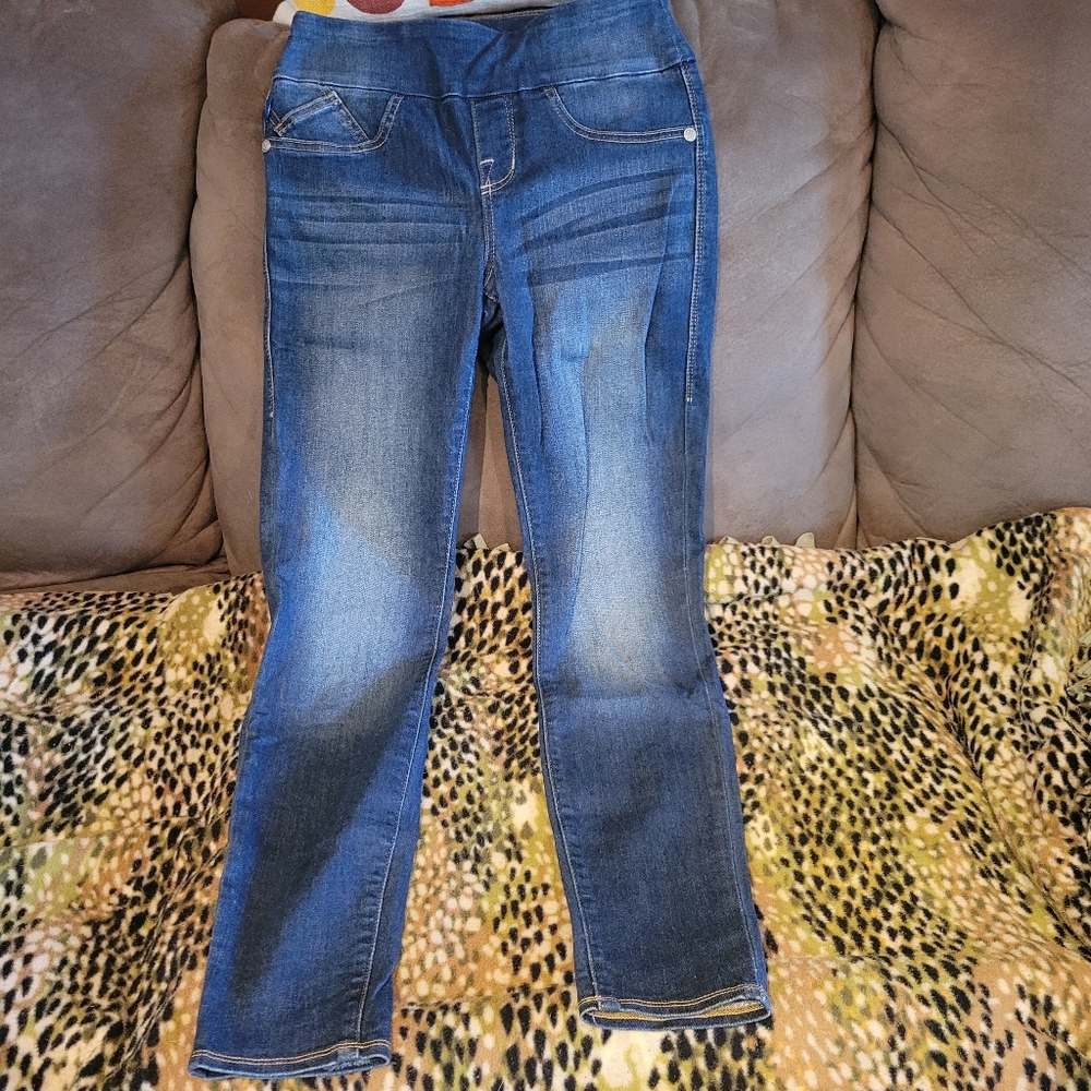 Rock & Republic Denim Rx Jegging